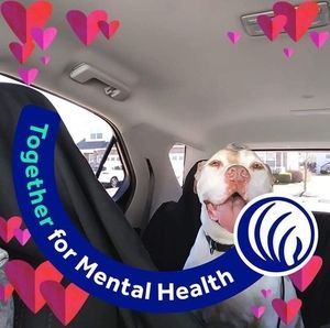 Meet your Posher, Fran